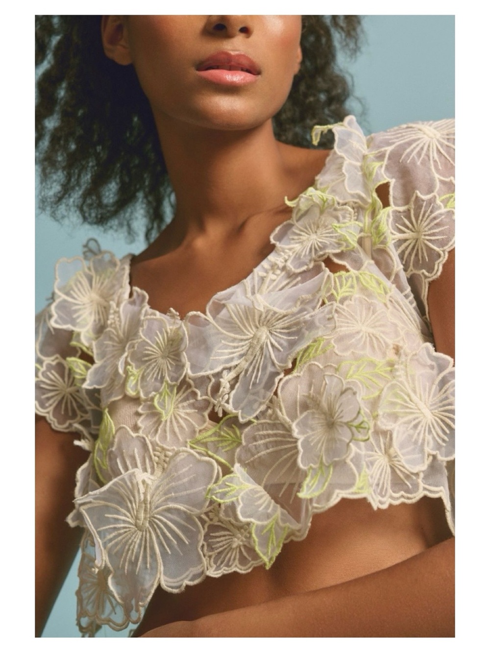 NWOT Anthropologie Sheer Appliqué Top in Ivory  Size Small